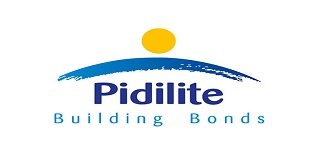 Pidilite-Building-Bonds (1)
